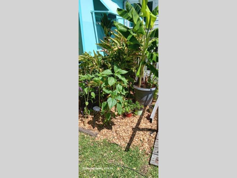 2003 Franklin Coach Company Heritage 356-3RK/GT, $ 2,500