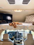 2020 Thor Motor Coach Daybreak 26DB, $ 49,900