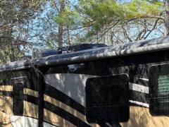 2021 Bay Star Sport 3112, $ 90,000