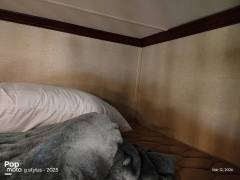 2015 Forest River Vengeance 39R12, $ 55,500