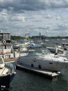 2003 Sea Ray 290 Amberjack, $ 35,600.00