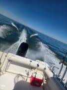 2002 Boston Whaler 255 Conquest, $ 79,500.00
