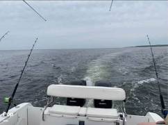 1999 Robalo 2440, $ 14,950.00