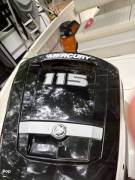 2020 Bayliner F18 Element, $ 20,000.00