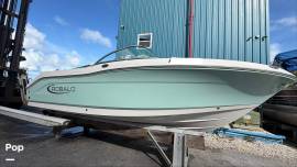2019 Robalo R207 Dual Console, $ 39,000.00