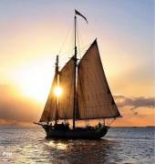 1984 Custom Built Topsail Gaff Rigged Schooner, $ 175,000.00