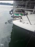 2009 Sea Ray 310 Sundancer, $ 95,000.00