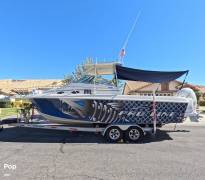 1995 Pro-Line Walkaround 251, $ 26,000.00