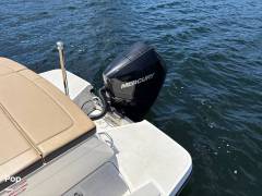 2024 Sea Ray SPX 230 OB, $ 59,400.00
