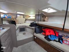 1998 Luhrs 320 Open Tournament, $ 44,900.00