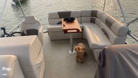 2024 Sanibel Cat SBC224, $ 37,800.00