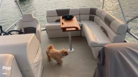 2024 Sanibel Cat SBC224, $ 37,800.00