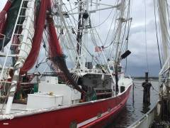 1993 Rodriguez Boat Builders 81, $ 420,000.00