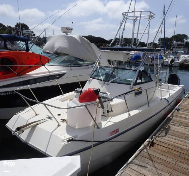 1996 Sea Cat SL5, $ 49,000.00