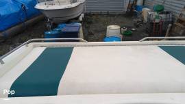 1993 Sea Ray 310 Sun Sport, $ 33,350.00