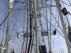 1986 Rodriguez 81, $ 280,000.00
