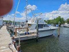 1985 Silverton Convertible 34, $ 17,000.00
