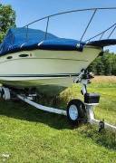1984 Sea Ray SRV255 Amberjack, $ 16,750.00