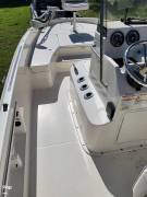 2017 Bayliner F21 Element, $ 29,000.00