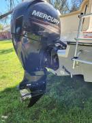 2017 Bayliner F21 Element, $ 29,000.00