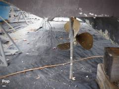1999 Sea Ray 310 Sundancer, $ 50,000.00